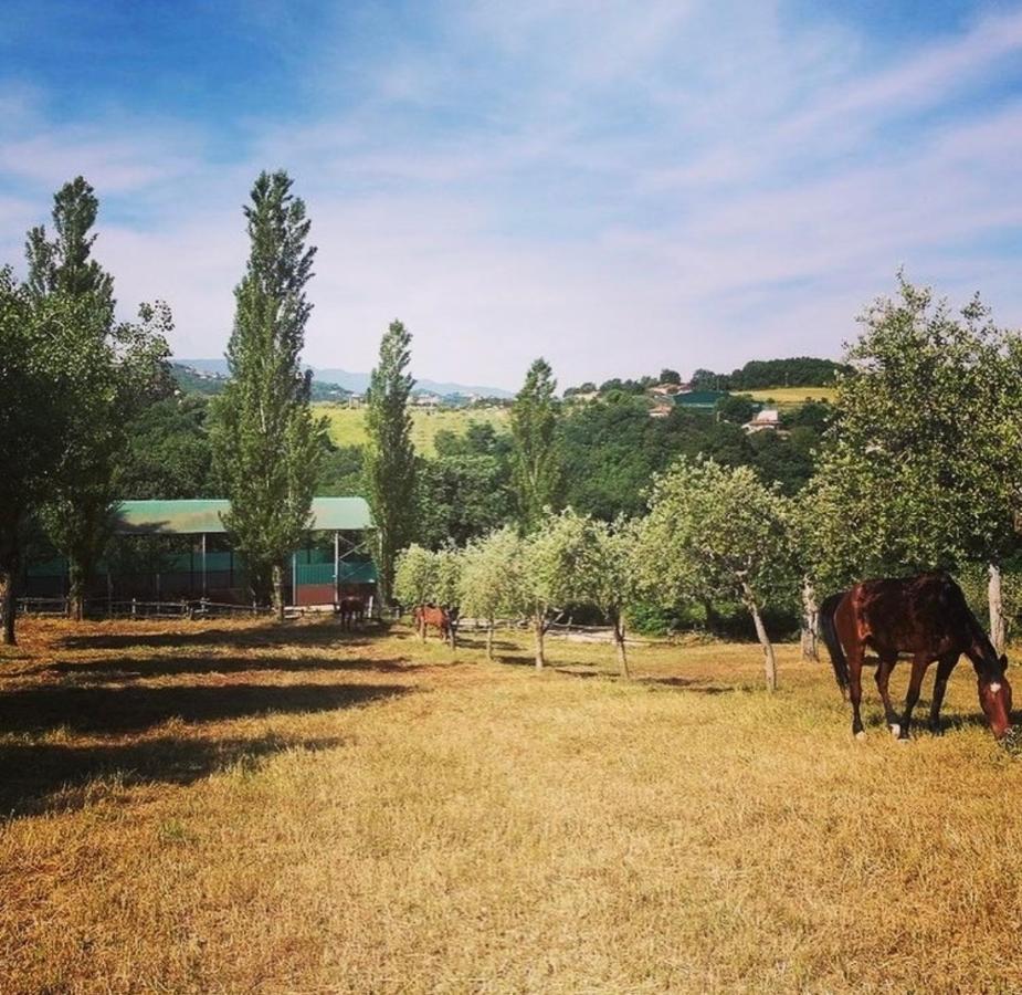 Il Nido Della Colombaia Acomodação com café da manhã San Nicola Manfredi Exterior foto